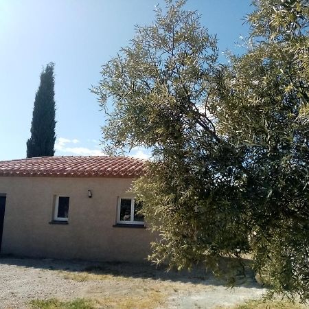 Magalas Maison Du Causse מראה חיצוני תמונה