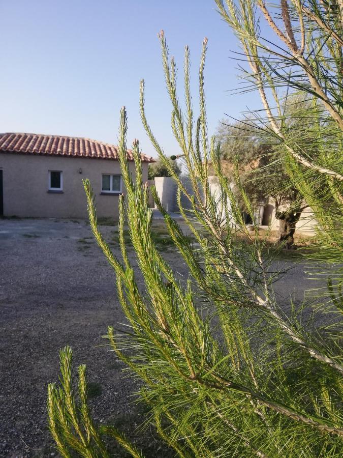 Magalas Maison Du Causse מראה חיצוני תמונה