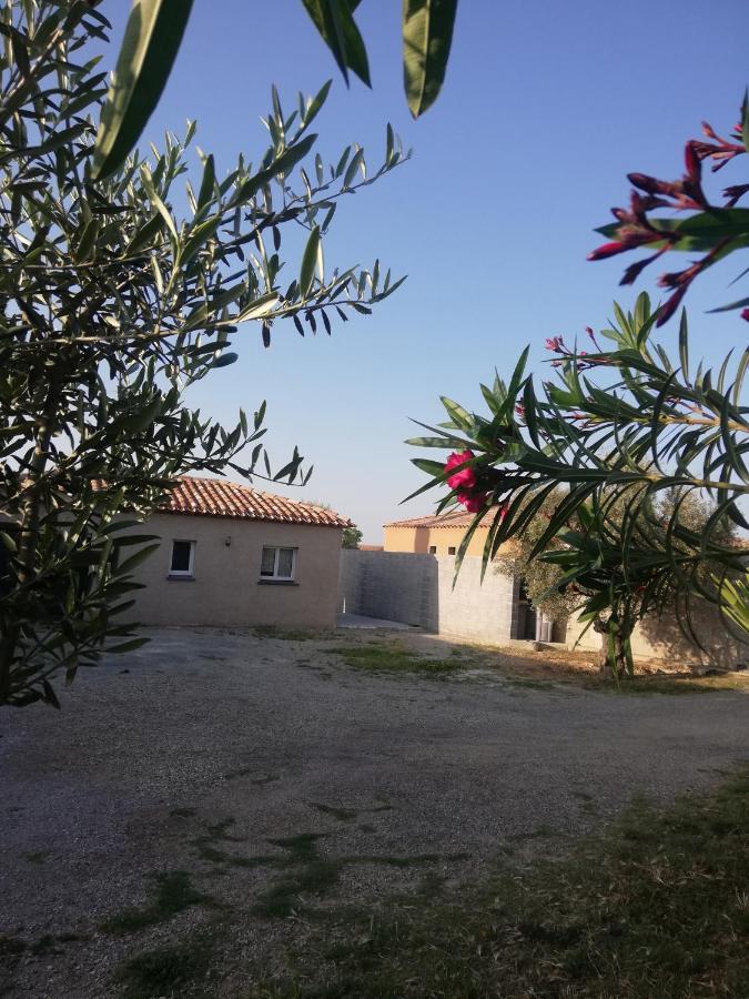 Magalas Maison Du Causse מראה חיצוני תמונה